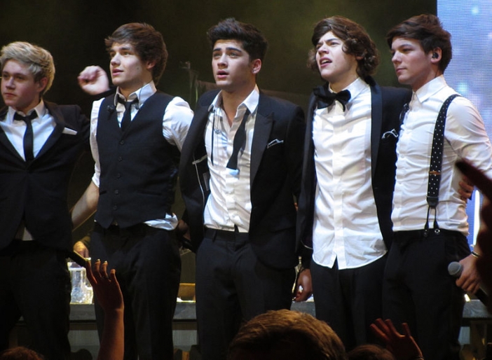 One Direction се сформират през 2010 г. по съвет на Никол Шерцингер – гост съдия на британското реалити шоу The X Factor, за участие в което всеки от петимата членове на групата се явява на кастинг самостоятелно. Техен ментор е самият Саймън Кауъл – създателят на The X Factor, а техни музикални идоли – Take That.