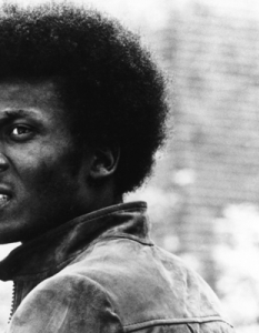 3. Jimmy Cliff
 
Jimmy Cliff е отговорен за разпространението на реге музиката в световен мащаб. До днес той е активен музикант, а последният му албум Rebirth (2012) е на 83-то място в Британската и на 76-то място в американската ранглиста.
Той получава и най-престижната награда The Order of Merit за принос в ямайската култура, музика и кино. Джими Клиф е успешен и в попрището си на актьор, като участва във филмите The Harder They Come, Club Paradise, Marked for Death и др.