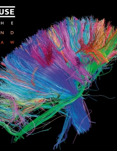 Muse – The 2nd Law
Шестият проект в дискографията на Muse трябваше да излезе на 17 септември, но бандата смени пилотната дата на 1 октомври. Пилотният сингъл от албума, Survival, стана емблематично парче за тазгодишните Олимпийски игри, които се проведоха в Лондон.