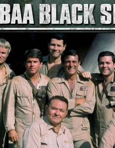 Black Sheep Squadron Black Sheep Squadron е класика в телевизионните сериали и поредният шедьовър на Стивън Канел (Stephen J. Cannell). Сериалът се излъчва от NBC в периода между 1976 и 1978 година, а действието се развива по време на Втората световна война и проследява историята на ескадрон военни летци. 