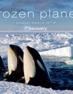 Frozen PlanetДокументалната поредицата Frozen Planet спечели в категория Nonfiction. Frozen Planet е копродукция на Discovery Channel и BBC и е фокусирана около живота и околната среда в Арктика и Антарктика.