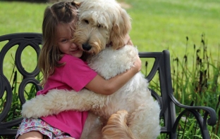 Муцунеста любов: най-сладурските прегръдки между кучета и техните стопани