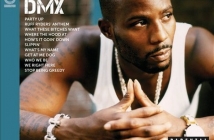 DMX - Icon